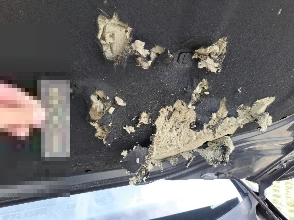 Vastgestelde schade