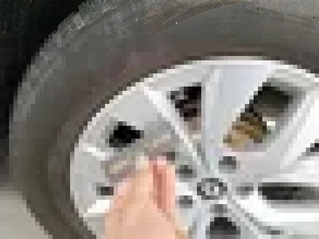 Reported damage