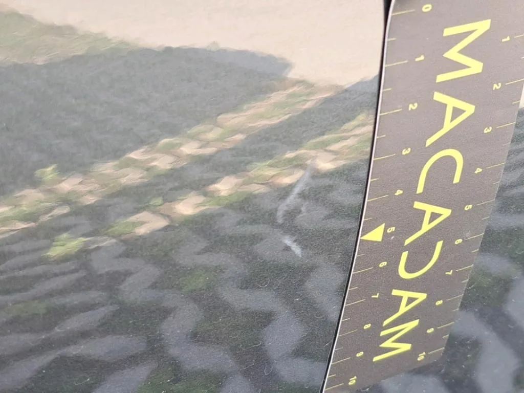 Vastgestelde schade
