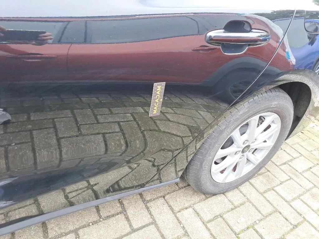 Vastgestelde schade