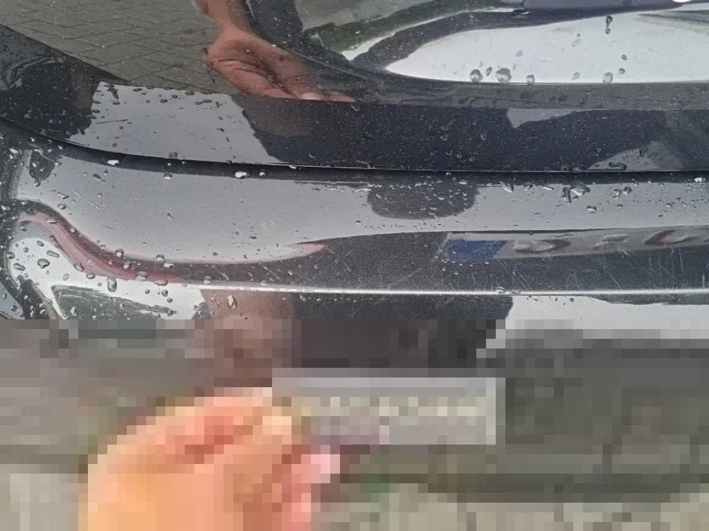 Vastgestelde schade