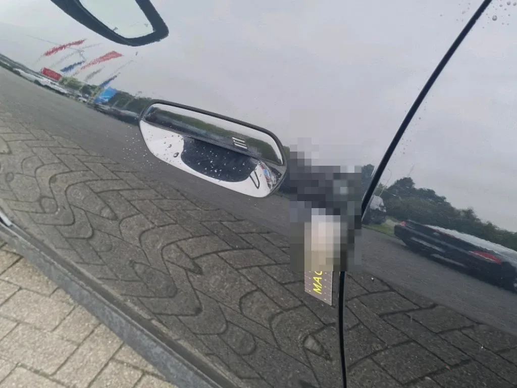 Vastgestelde schade