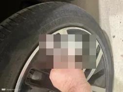 Reported damage