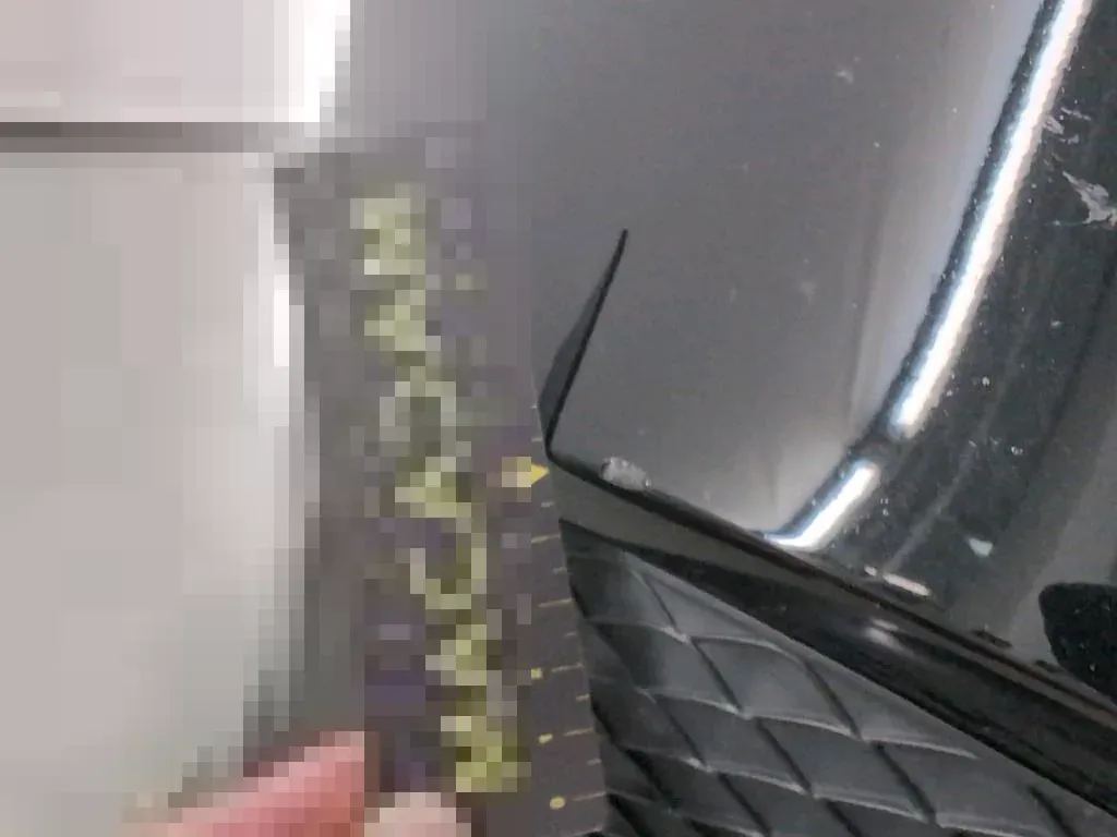 Dommages constatés