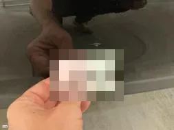 Reported damage