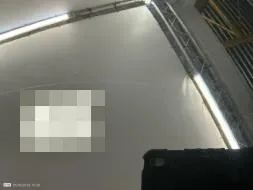 Reported damage