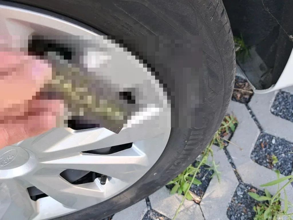 Vastgestelde schade