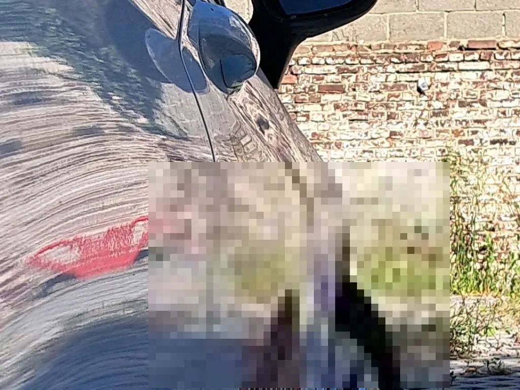 Vastgestelde schade