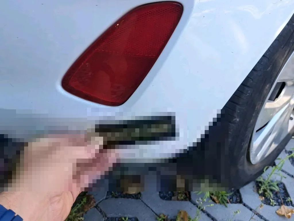 Vastgestelde schade