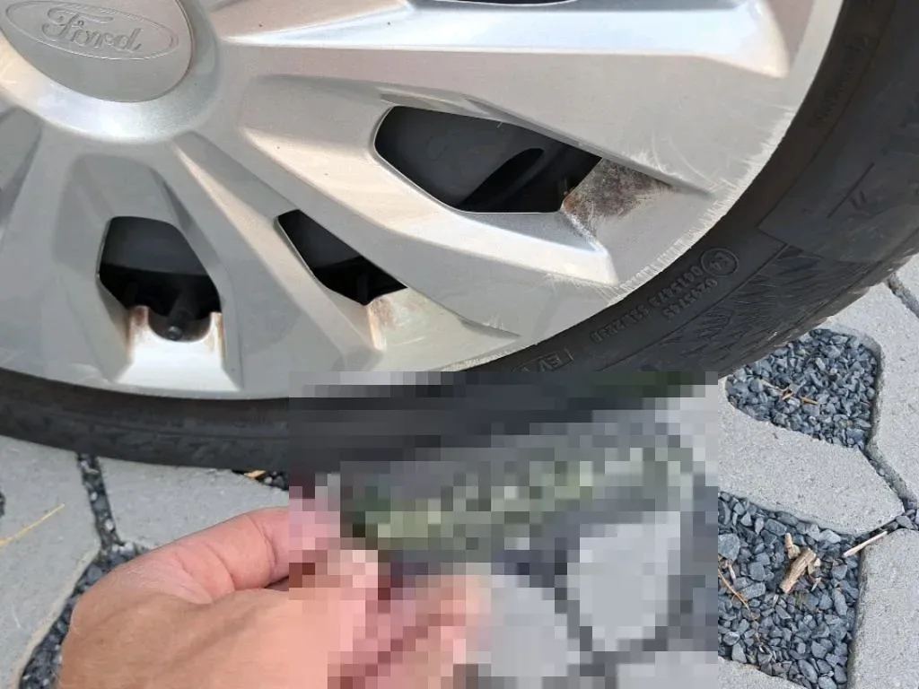 Vastgestelde schade