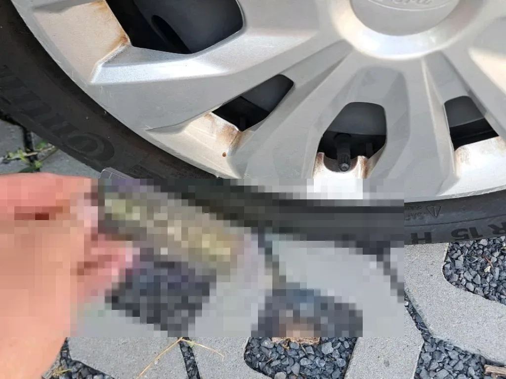Vastgestelde schade