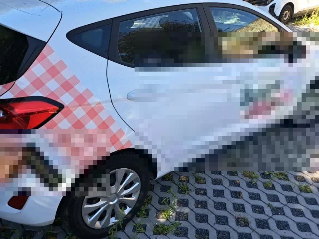 Vastgestelde schade