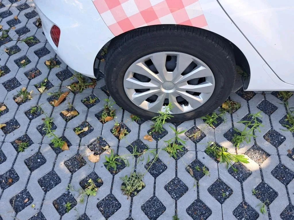Vastgestelde schade