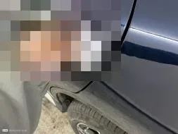 Reported damage