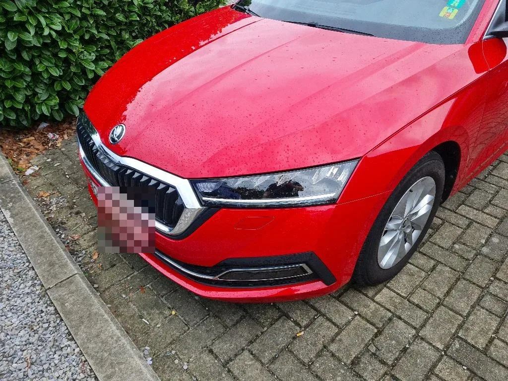 Vastgestelde schade
