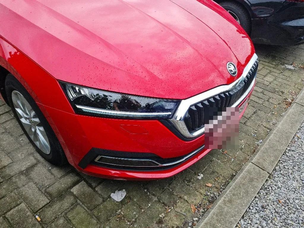 Vastgestelde schade