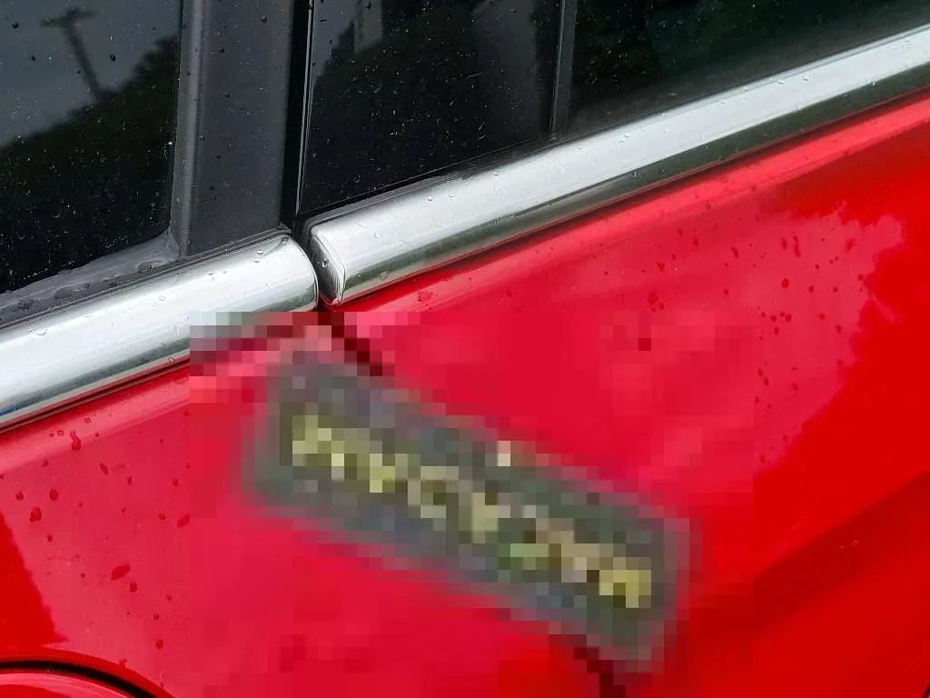 Vastgestelde schade