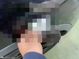 Reported damage