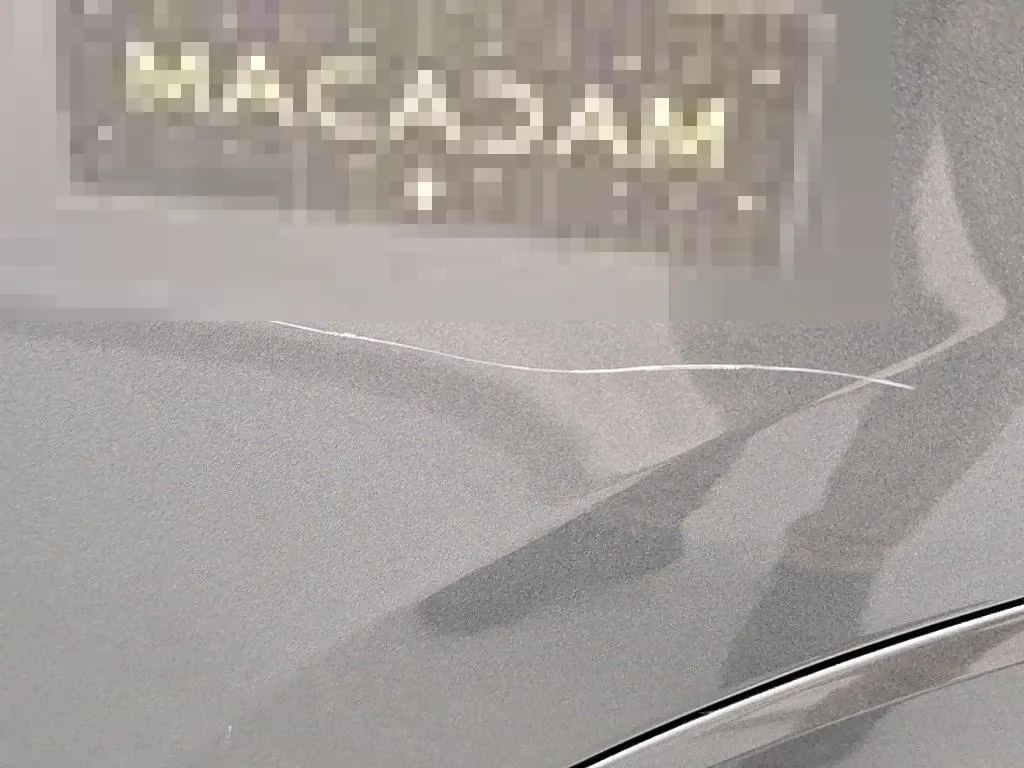 Vastgestelde schade