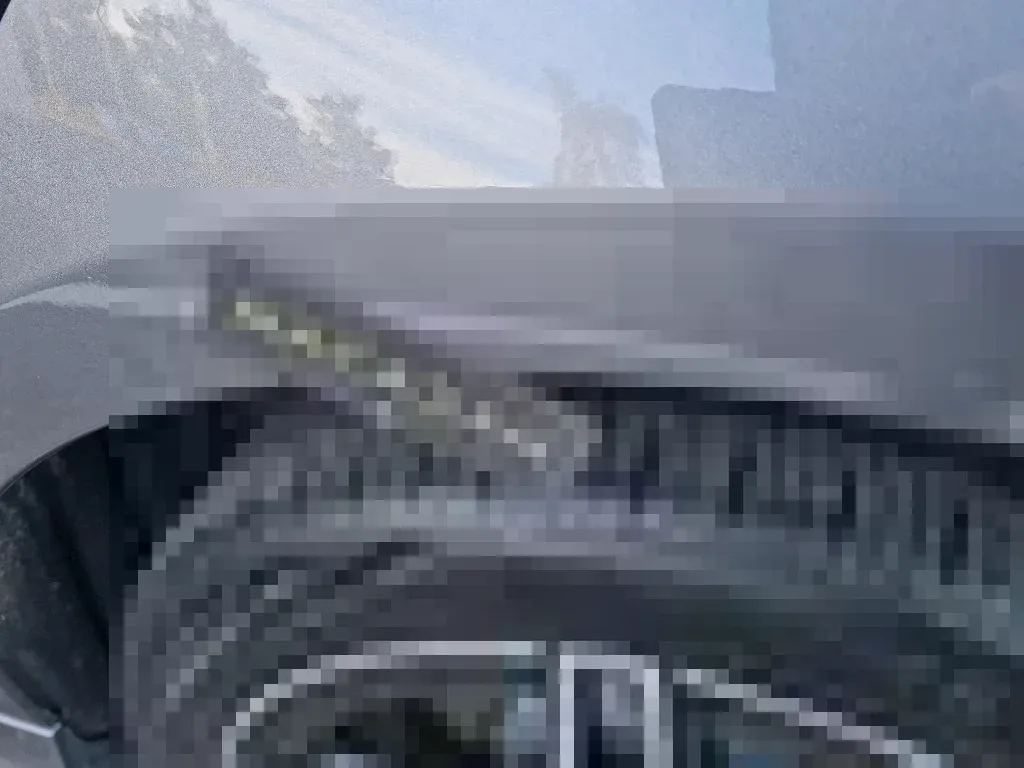 Reported damage