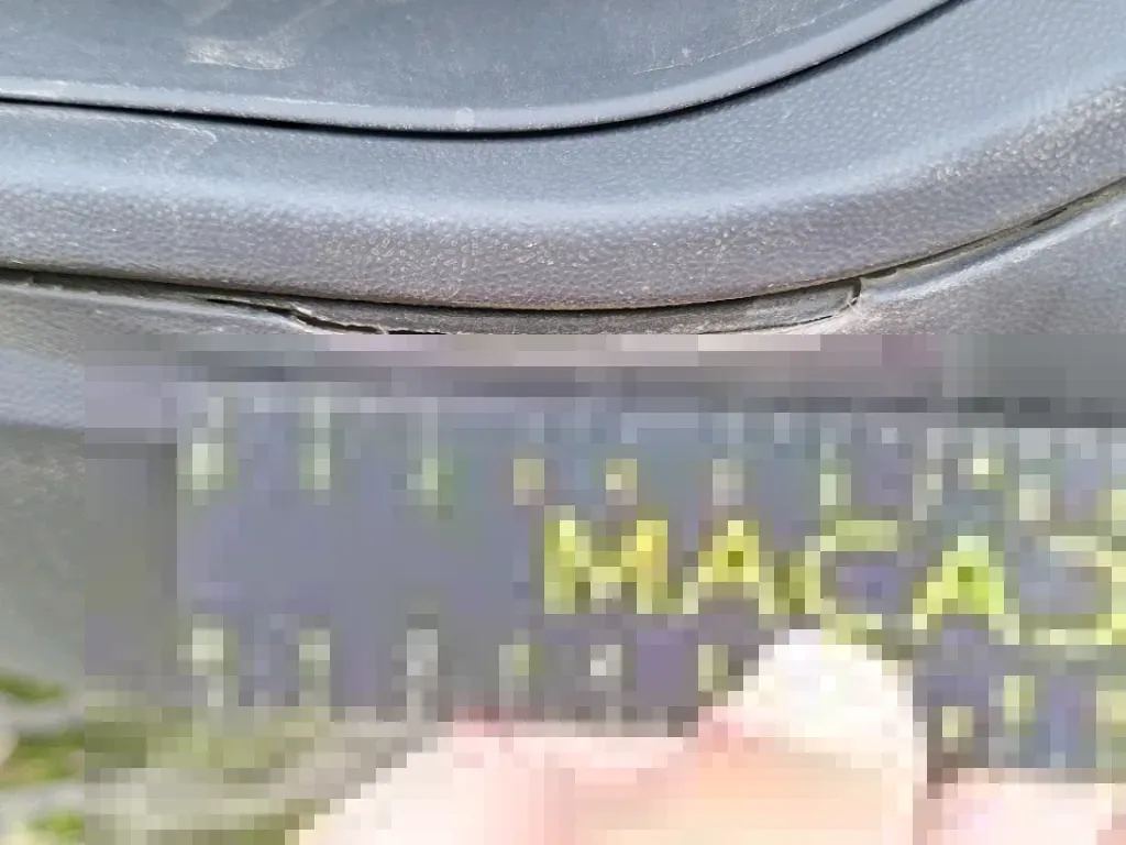 Vastgestelde schade