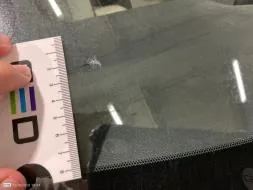 Reported damage