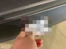 Reported damage