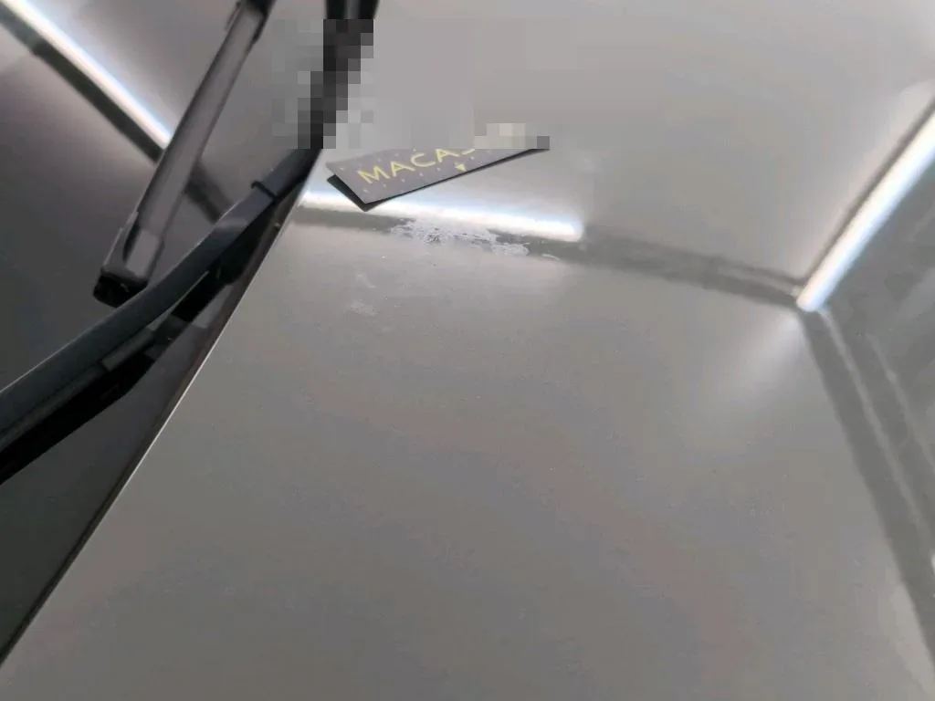 Dommages constatés