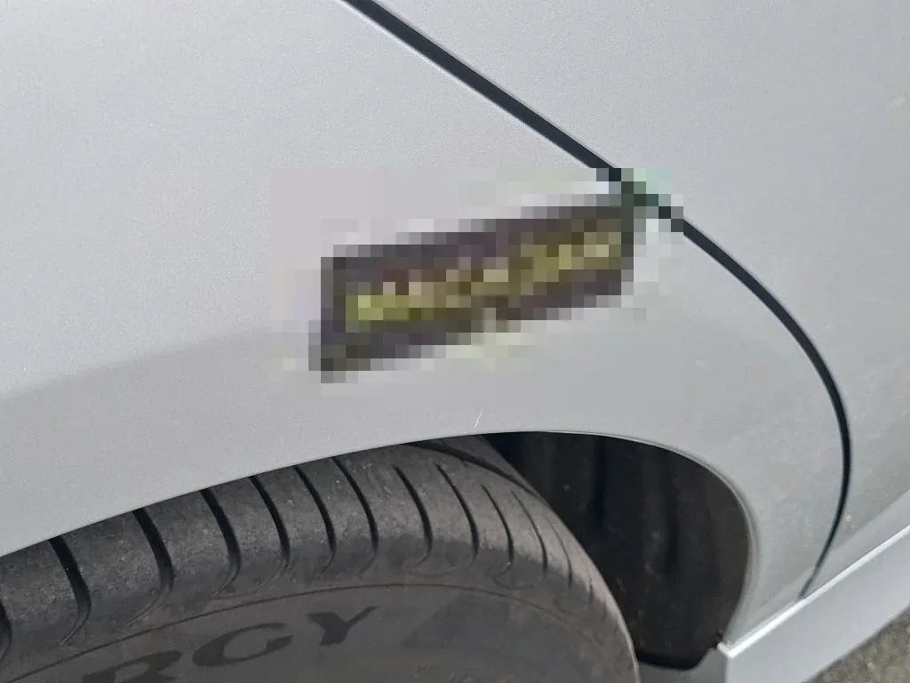 Vastgestelde schade
