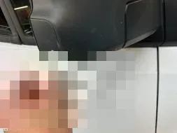 Vastgestelde schade