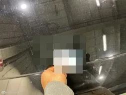 Reported damage