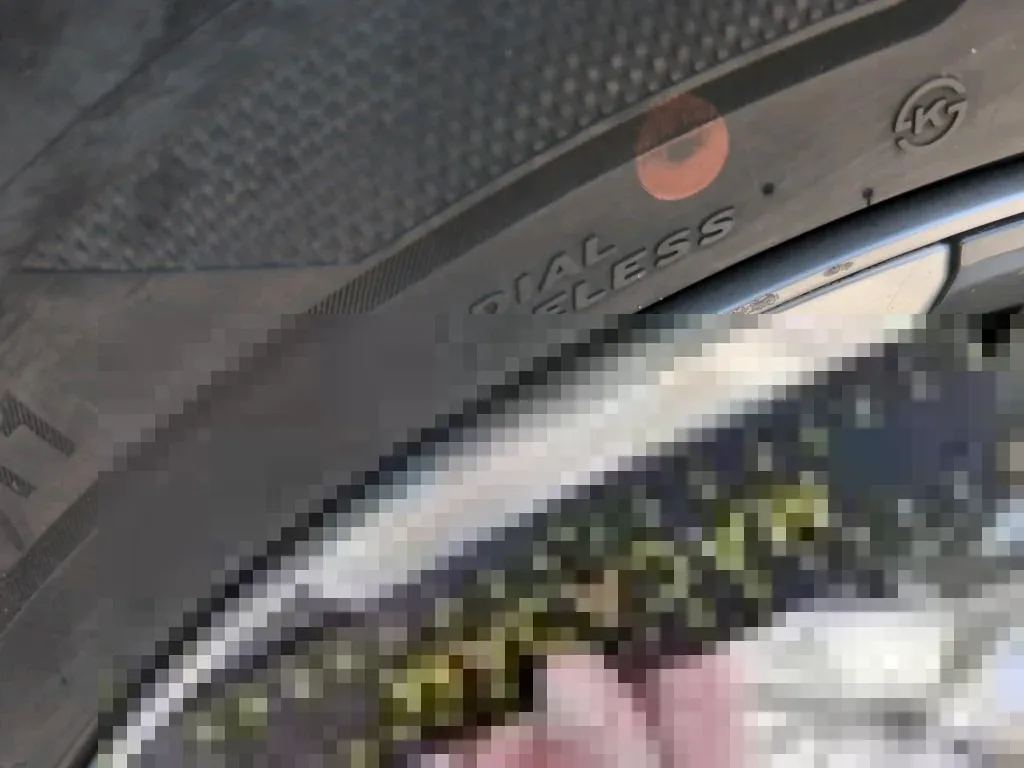 Reported damage