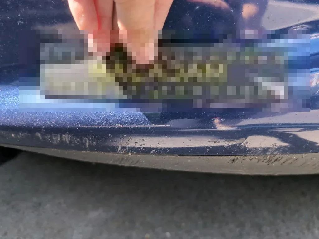 Reported damage