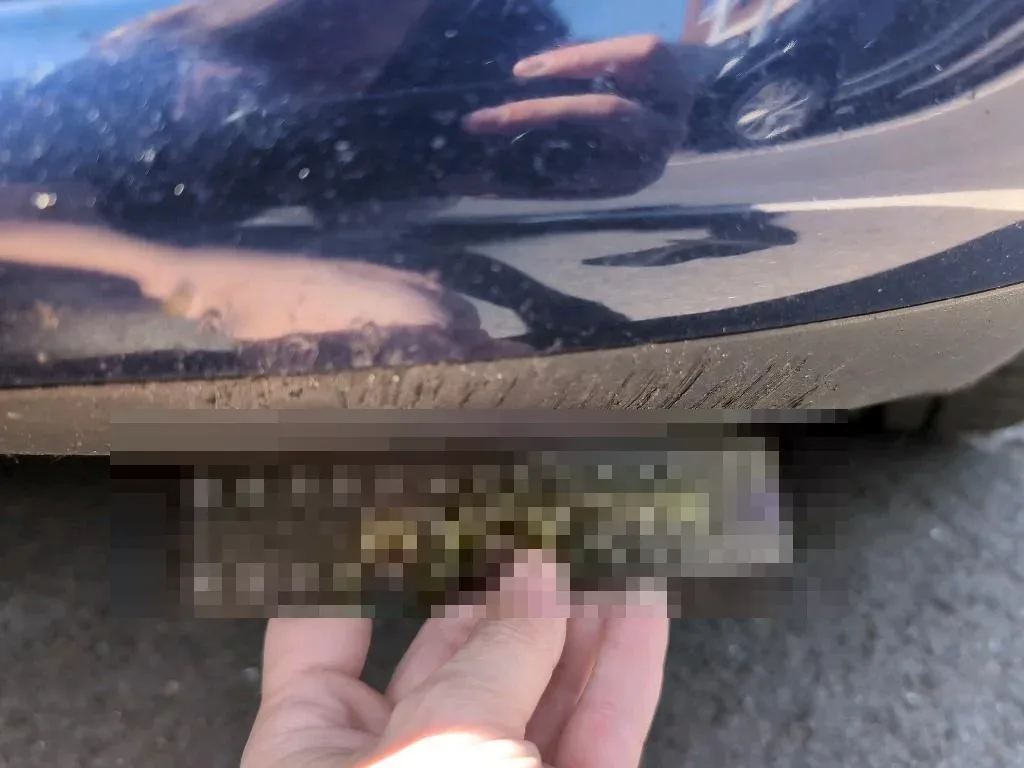 Reported damage