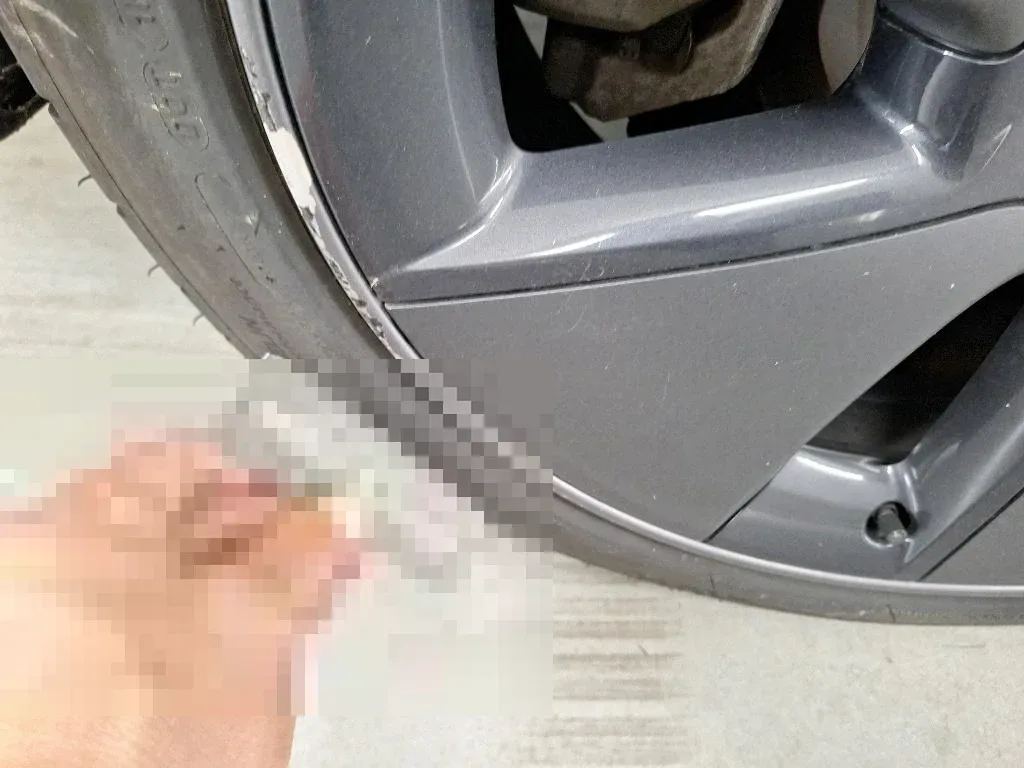 Vastgestelde schade