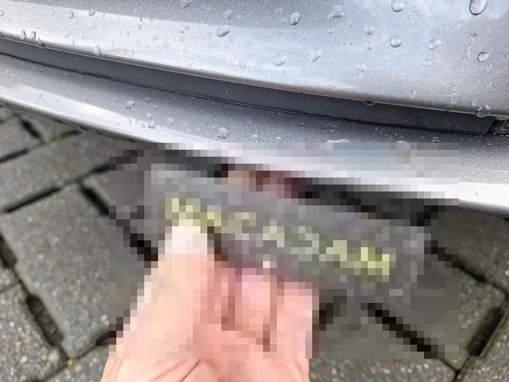Reported damage