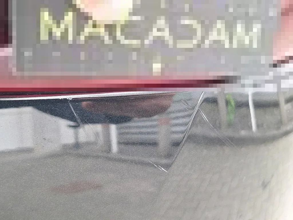 Vastgestelde schade
