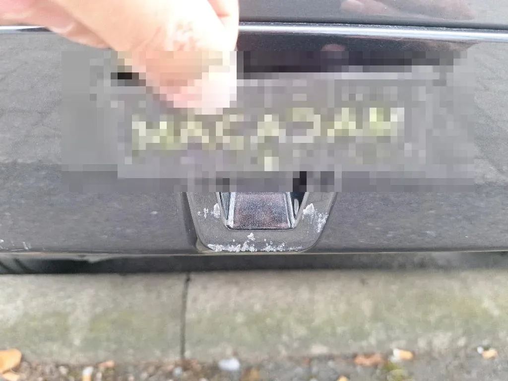 Vastgestelde schade
