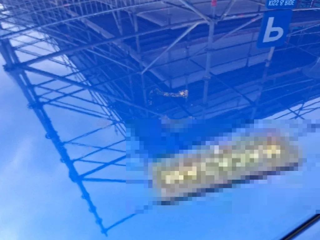 Vastgestelde schade