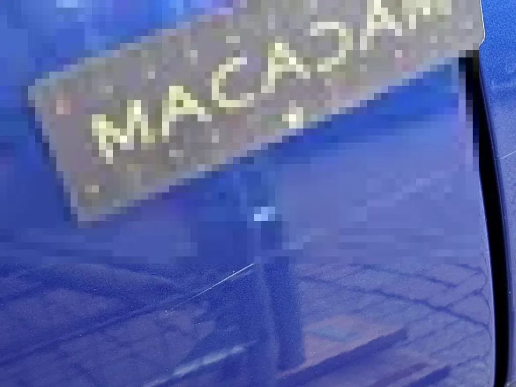 Vastgestelde schade