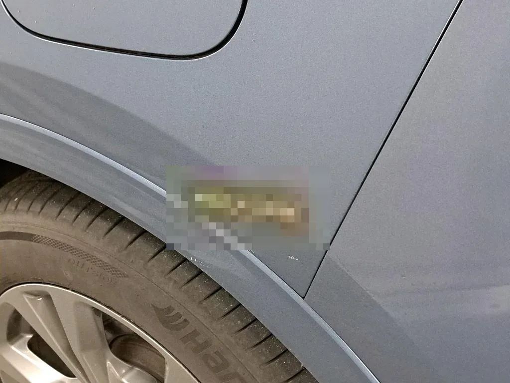 Vastgestelde schade
