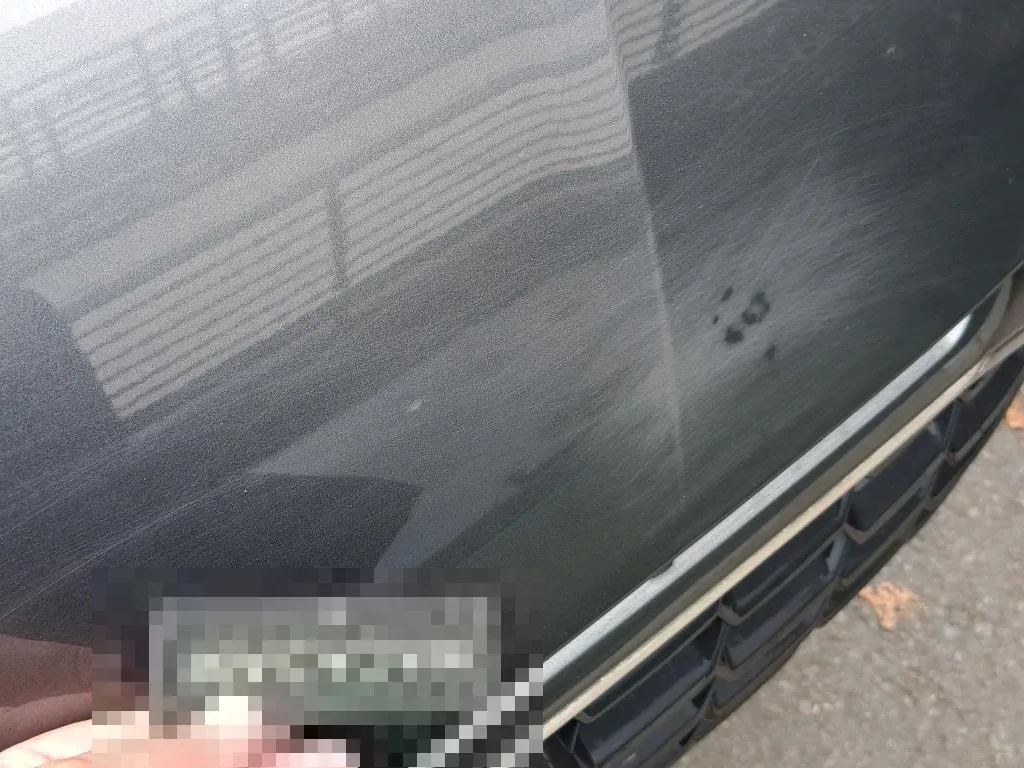 Reported damage