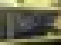 Reported damage