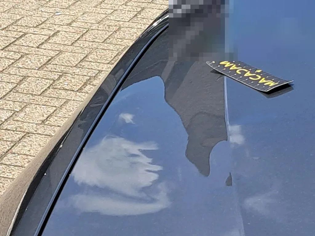 Reported damage