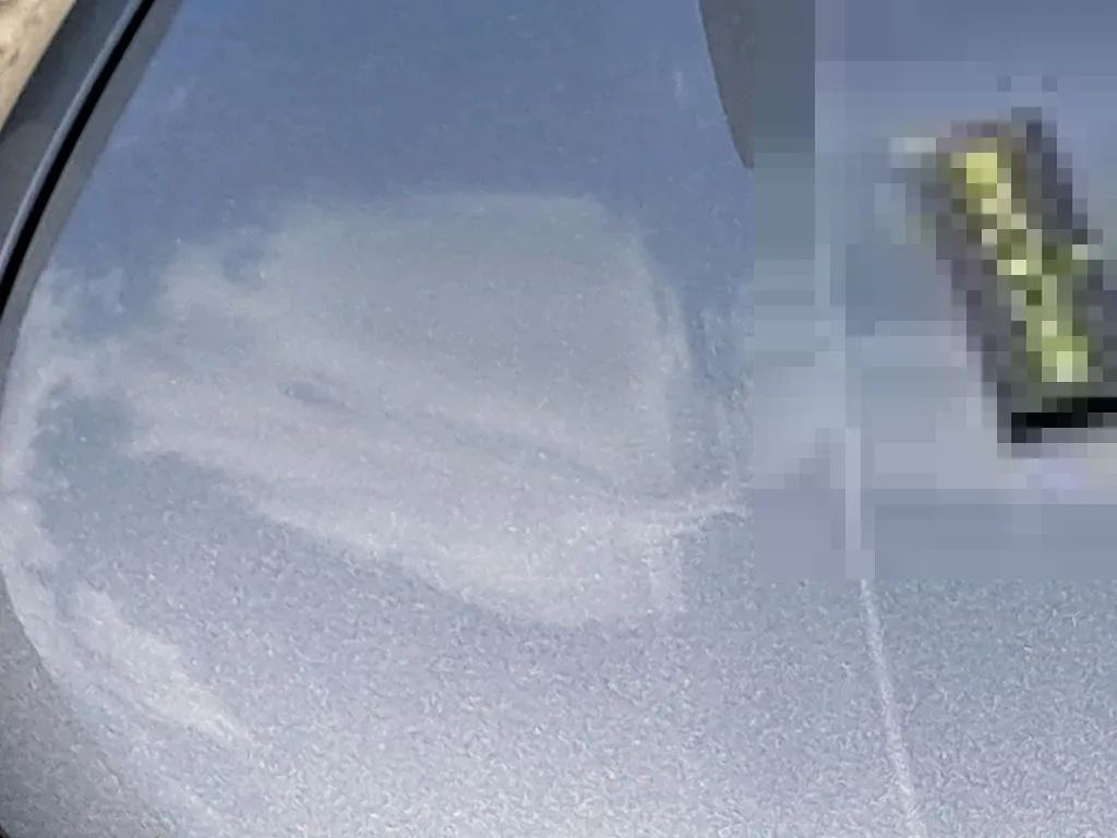 Reported damage