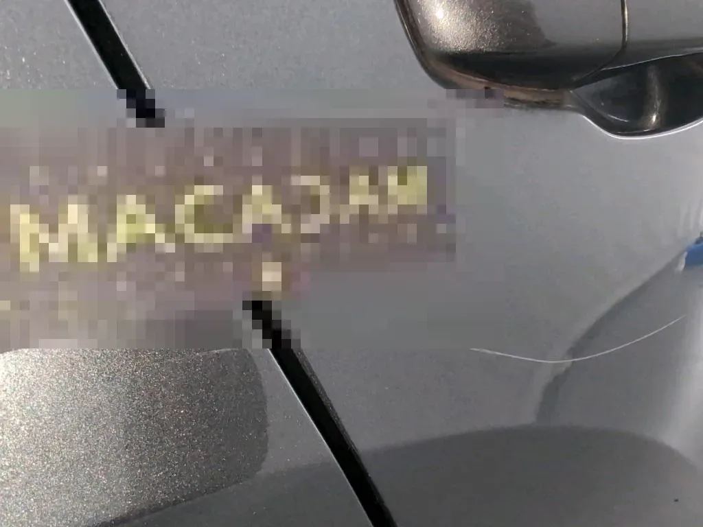 Vastgestelde schade