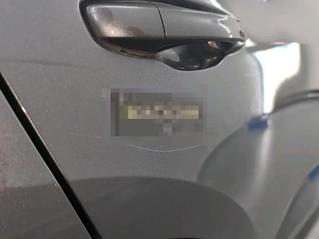 Vastgestelde schade