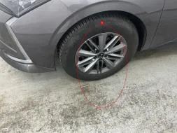 Vastgestelde schade