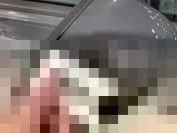 Vastgestelde schade