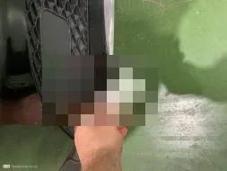 Reported damage